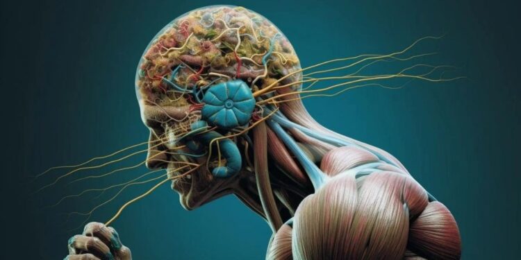 Recent studies in neuroscience demonstrate the amazing effects of exercise on brain cells