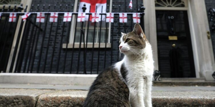 As UK Election Draws Near, Larry the Cat Waits for Sixth Prime Minister