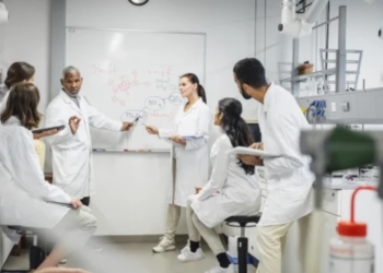 Programme Innovations Encouraging Student Research Success