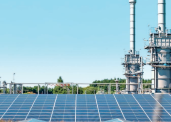 Investment in solar power surpasses that of all other power sources: IEA