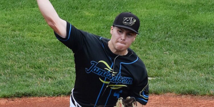 At Diethrick Park, Tarp Skunks upset Niagara Falls 6-1.