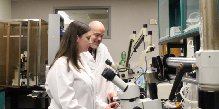 Long-read RNA Sequencing Reveals Key Genes in Alzheimer’s Sanders-Brown Study