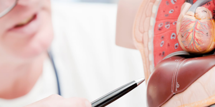 Fatty liver disease is on the rise in the United Kingdom; eight key risk factors are highlighted