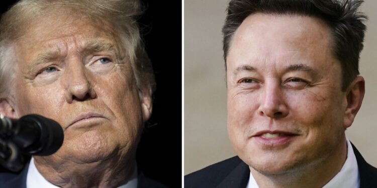 Elon Musk and Donald Trump