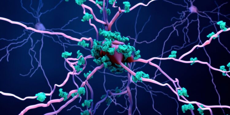 Analyst: Regulatory trust in Anti-Amyloid antibodies is reflected in Eli Lilly’s Alzheimer’s Therapy’s broad-label