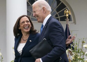 Democrats are supposed to have drafted plans for President Biden to support vice president Harris