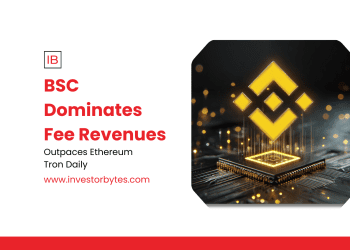 BSC Dominates Fee Revenues