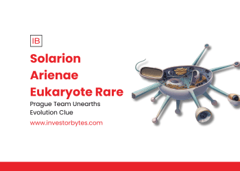 Solarion Arienae Eukaryote Rare