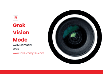 Grok Vision Mode