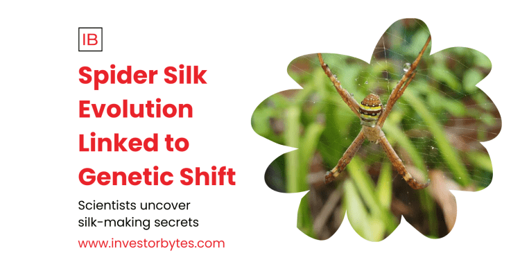 Ancient Genetic Oops Linked to Spider Silk Organs