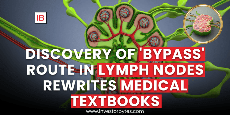 Discovery of New Lymph Node Architecture Reported