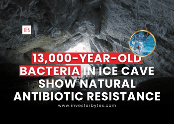 13,000-Year-Old Bacteria in Ice Cave Show Natural Antibiotic Resistance