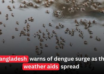 Bangladesh Warns of Major Dengue Surge as Weather Conditions Fuel Mosquito Spread